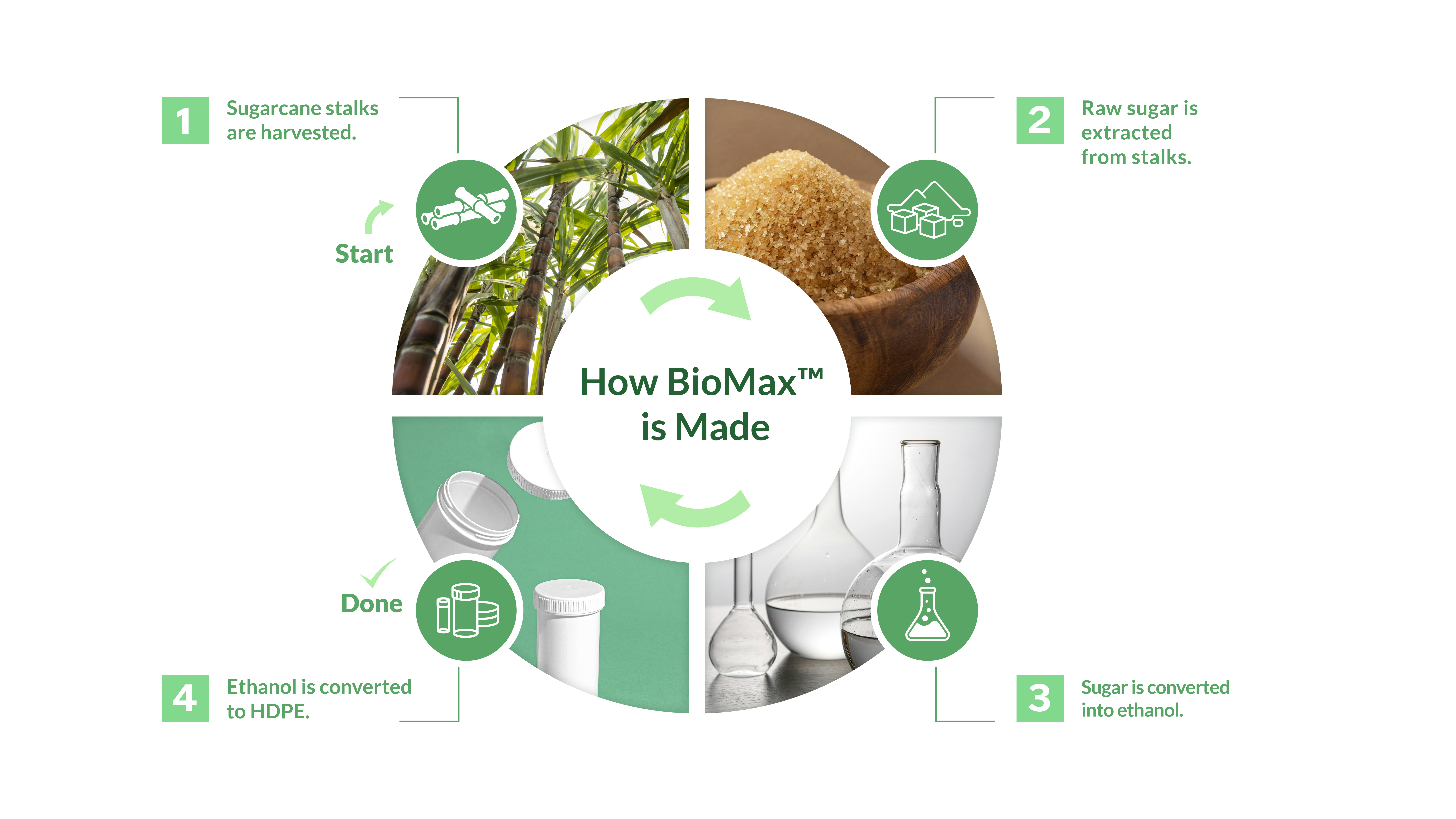 How BioMax is Made